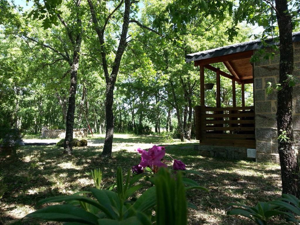 Cabanas Vallecino Manzanal de los Infantes Buitenkant foto