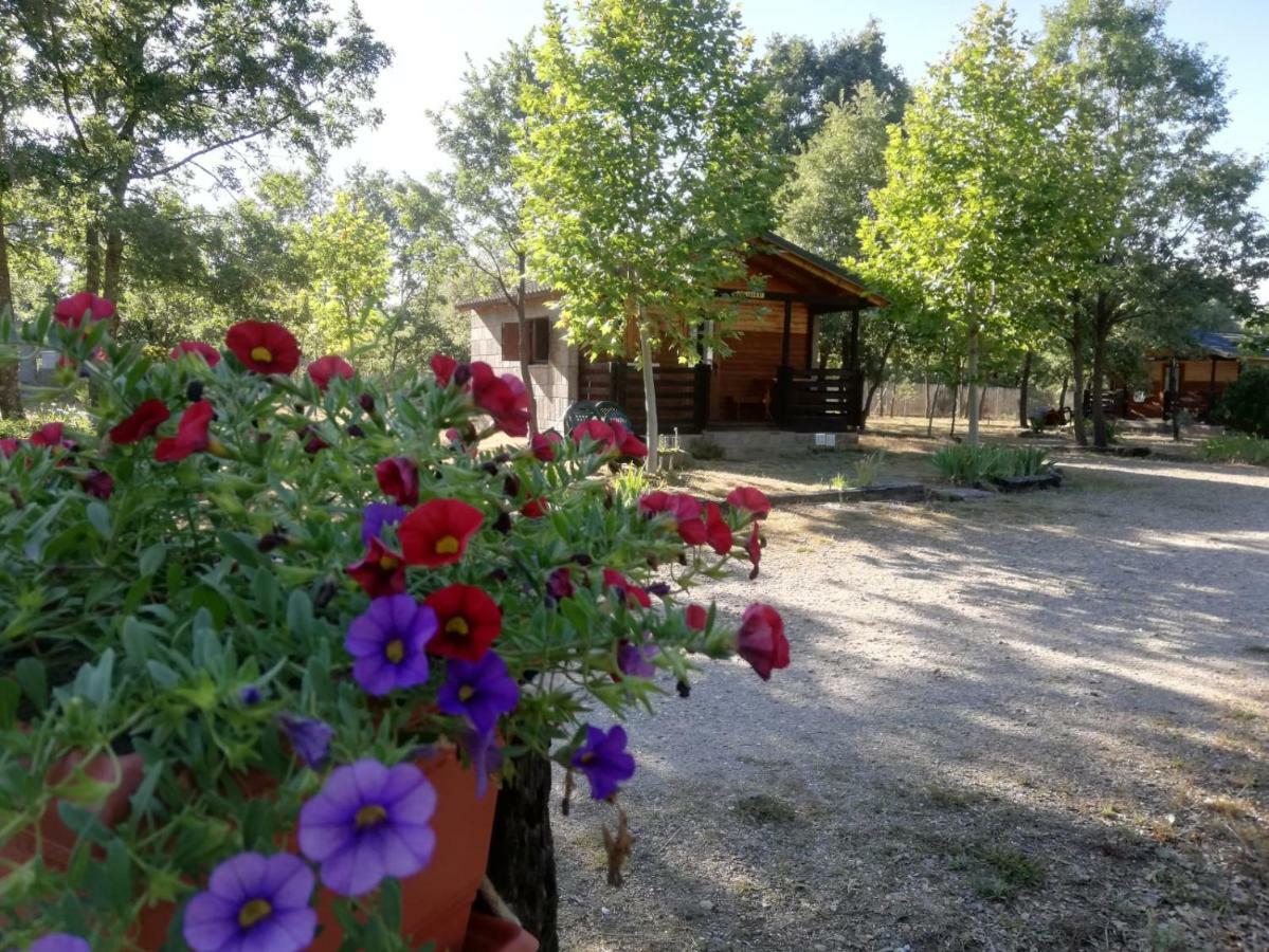 Cabanas Vallecino Manzanal de los Infantes Buitenkant foto