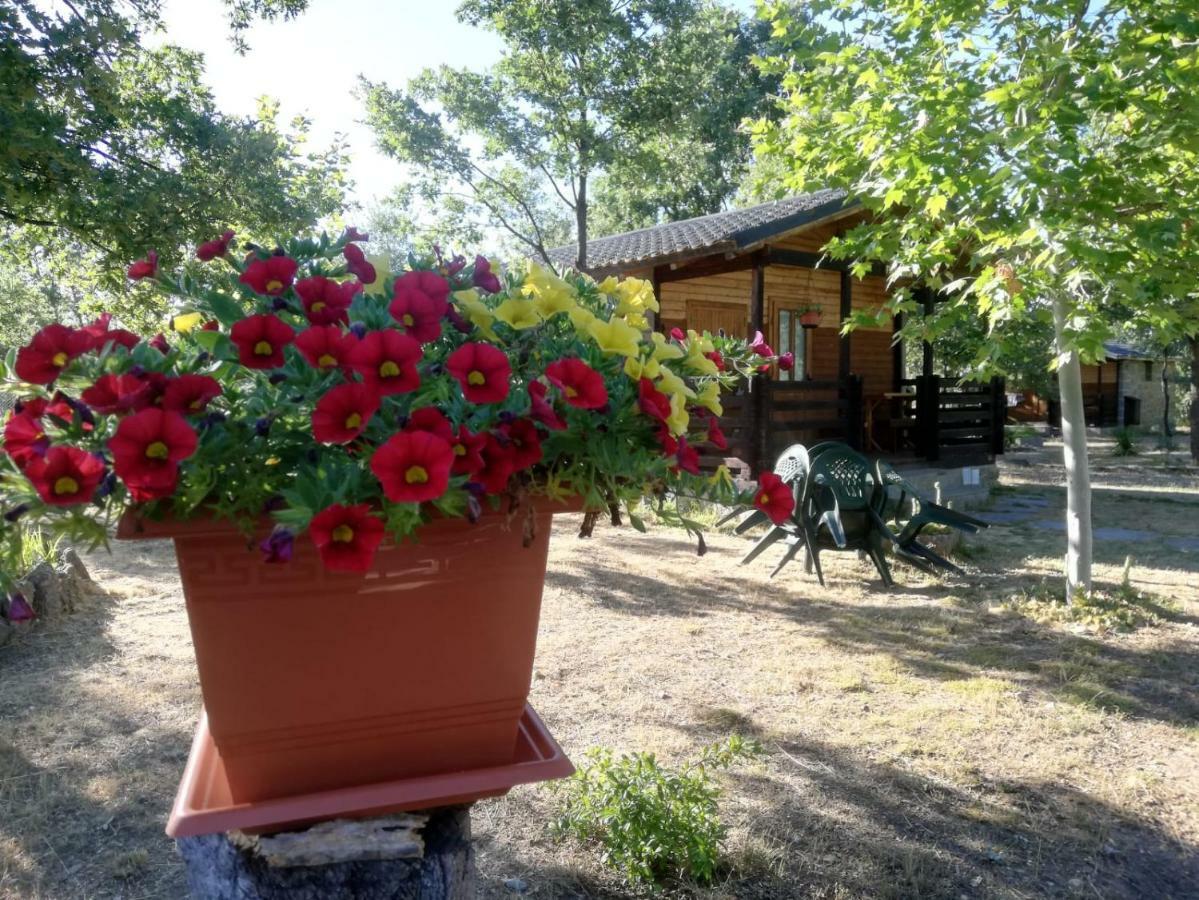 Cabanas Vallecino Manzanal de los Infantes Buitenkant foto